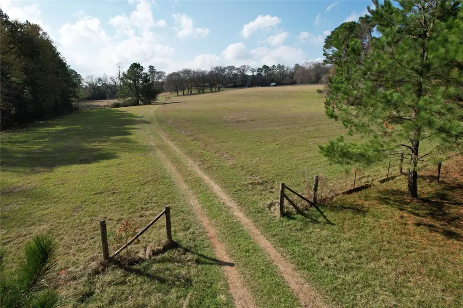 TBD County Rd 1585, Grapeland, TX 75844 - Image #2