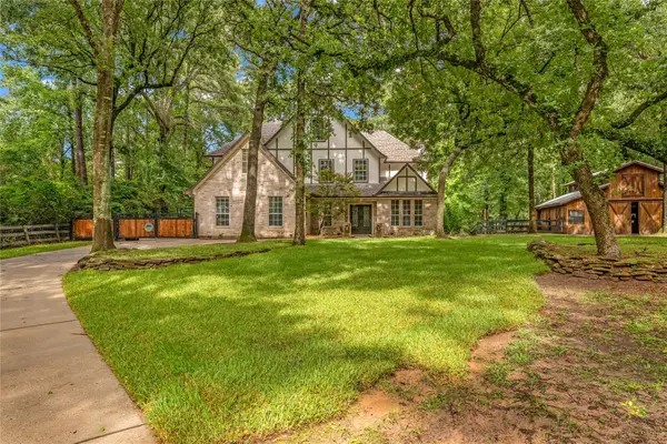 17203 Gold Panning Court, Magnolia, TX 77355