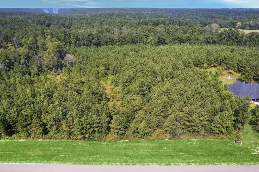 11997 High Branch Way, Willis, TX 77378 - Image #2