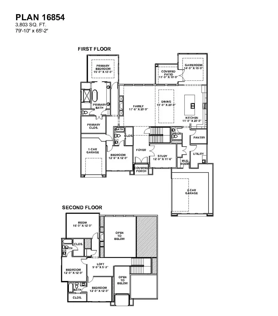 11994 Braided Mane Street, Montgomery, TX 77316 - #2