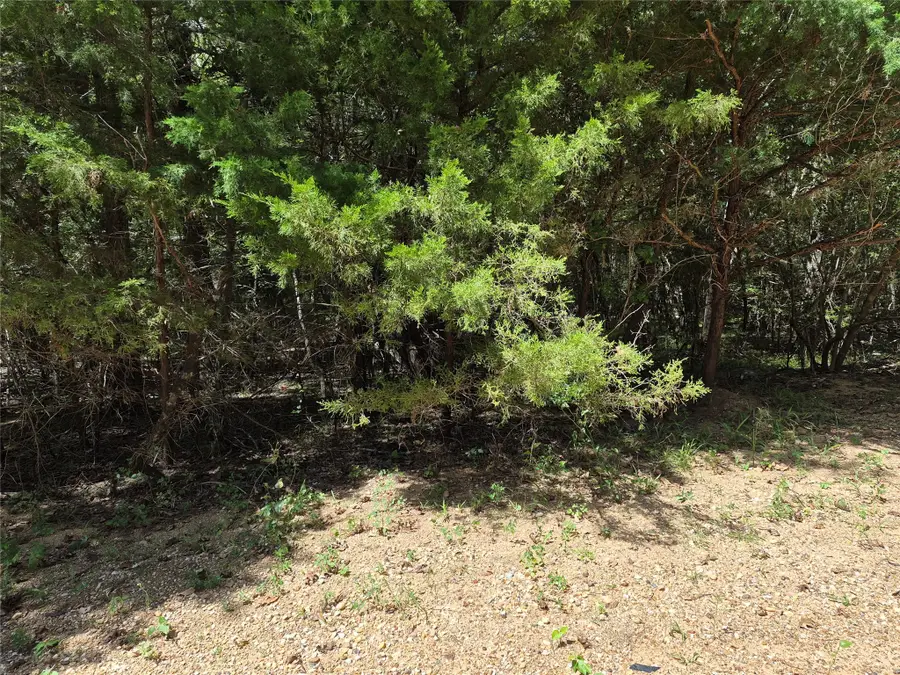 TBD Valley Dr, Coldspring, TX 77331 - #3