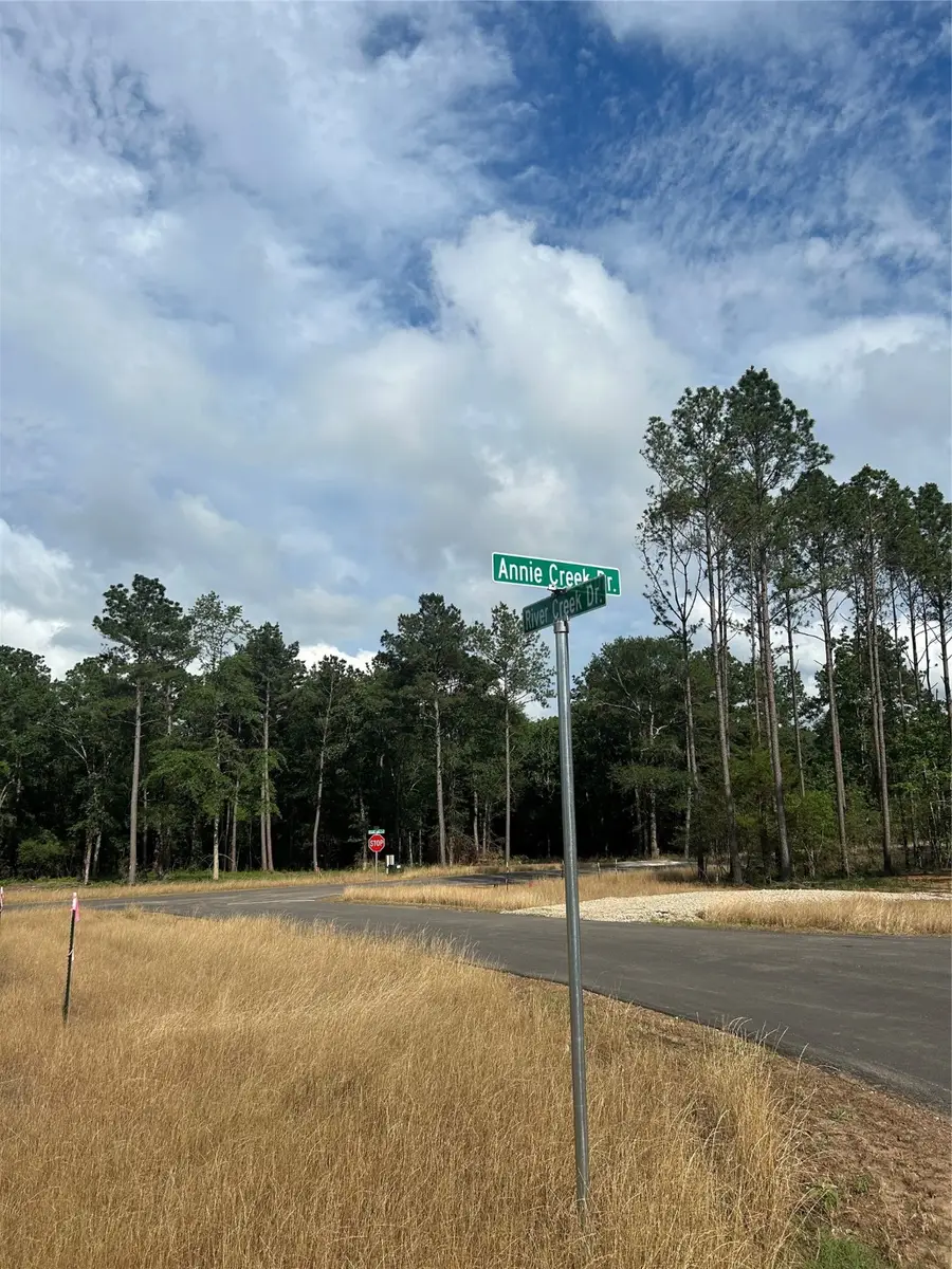 11309 Annie Creek Drive, Willis, TX 77378 - #3