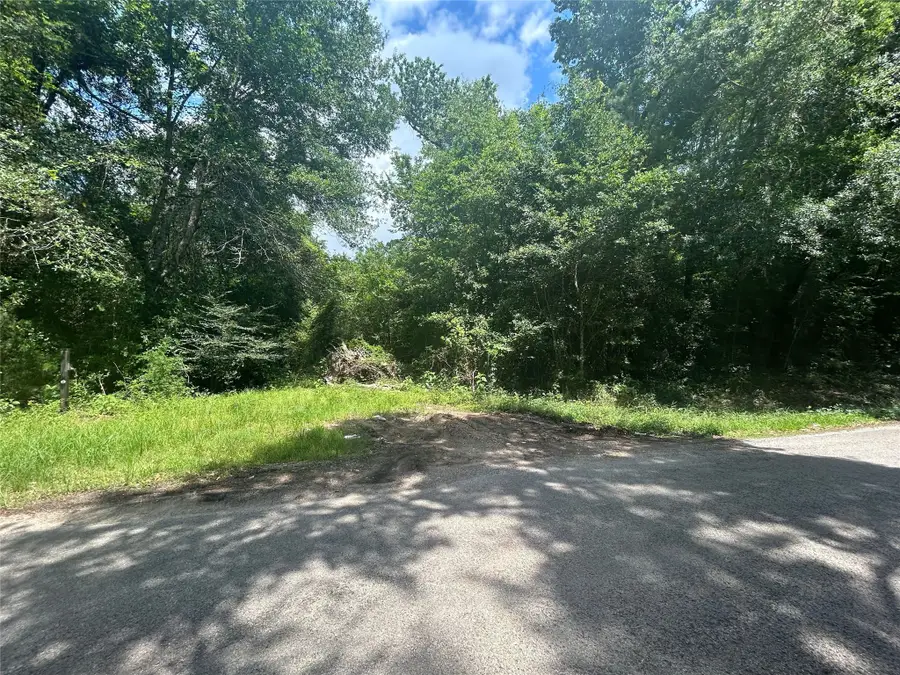 26702 Apache Trail, Magnolia, TX 77354 - #2