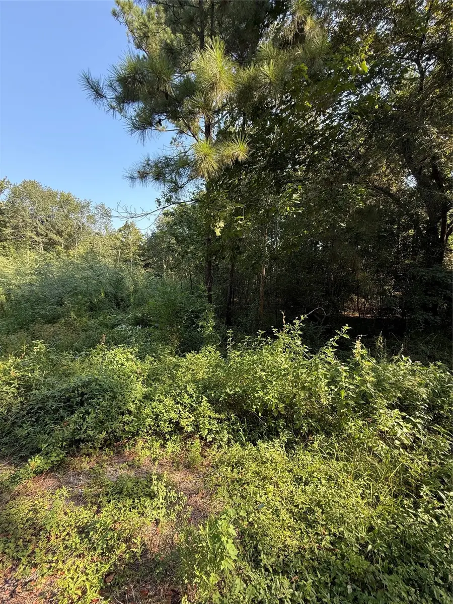 1535 Sunrise Trail, Kingwood, TX 77339 - Image #3