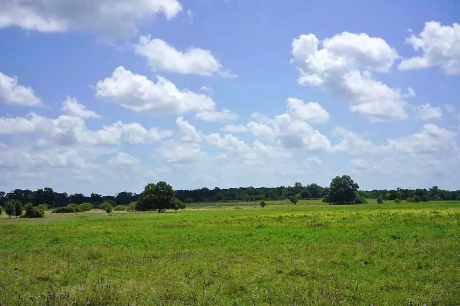 0050 County Road 419, Navasota, TX 77868 - Image #3