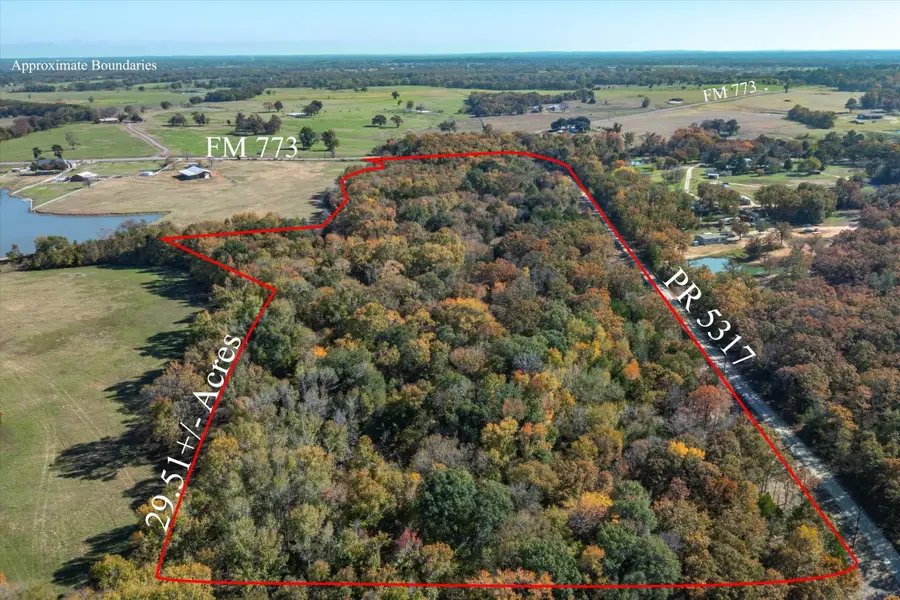 29.51 +/- Acres Fm 773, Grand Saline, TX 75140 - Image #2