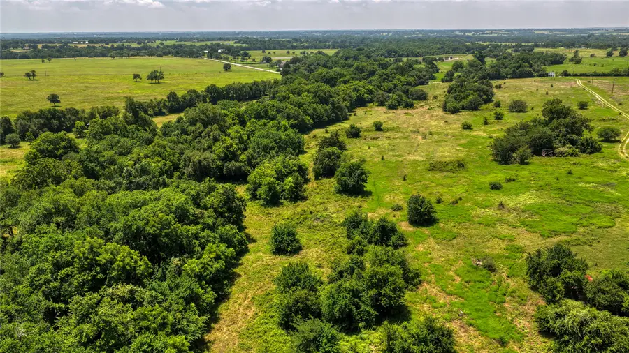 TRACT 3 Randermann Rd, Brenham, TX 77833 - #3