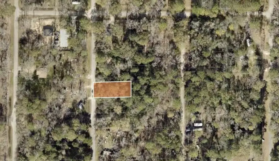 00 Idlewood Rdwy, New Caney, TX 77357 - #3