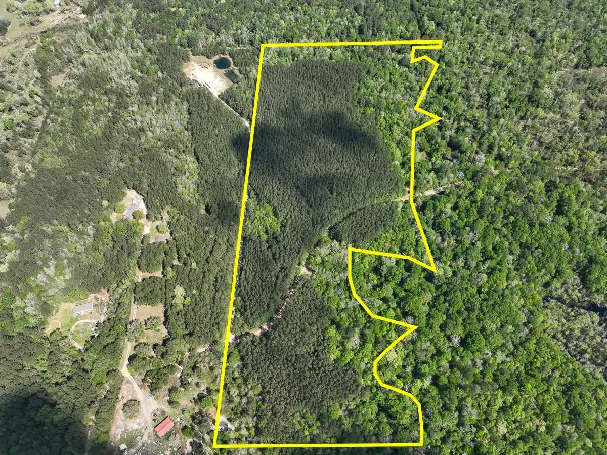 0 Cr 4525, Warren, TX 77664 - #1