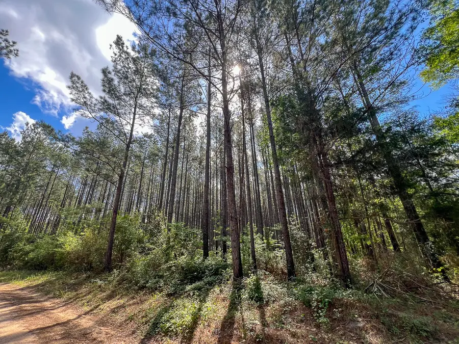 0 Cr 4525, Warren, TX 77664 - #2