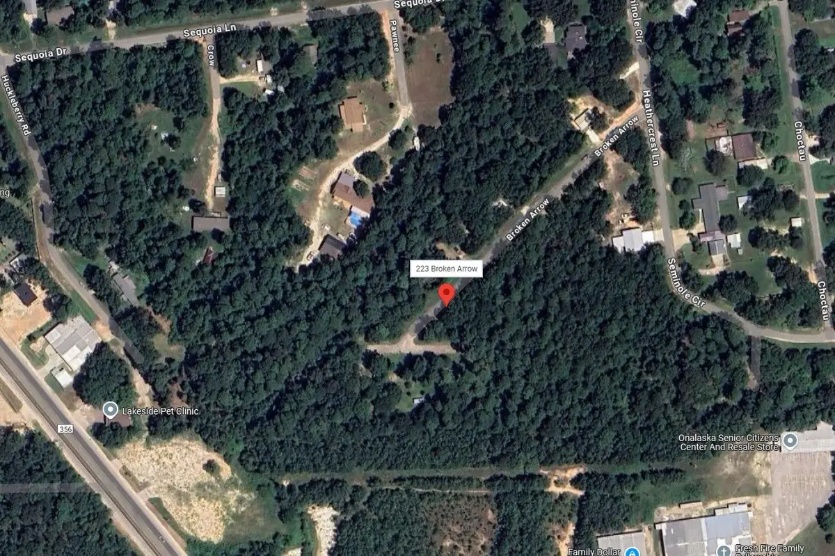 223 Broken Arrow, Onalaska, TX 77360 - Image #1