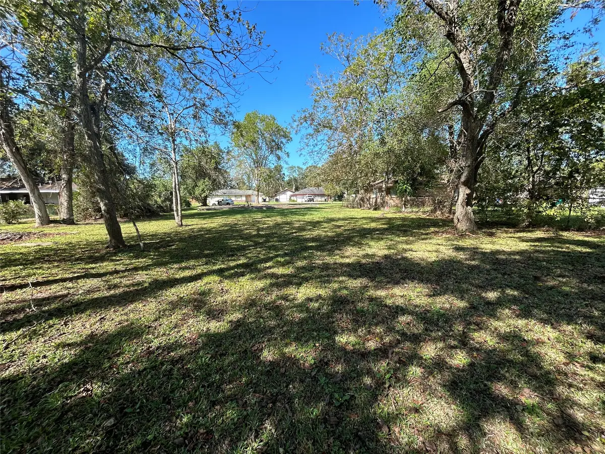 1106 Earley Street, Sweeny, TX 77480 - #1