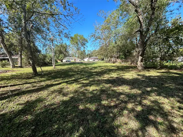1106 Earley Street, Sweeny, TX 77480