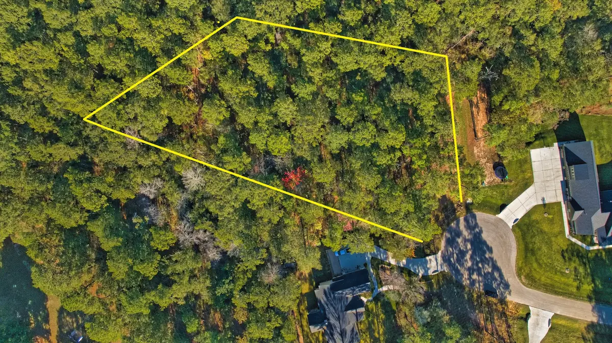 8602 Cedar Meadow Lane, Plantersville, TX 77363 - Image #1