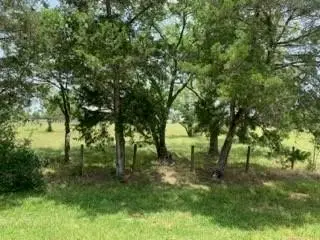 29929 Fm 1301 Road, West Columbia, TX 77486 - #3