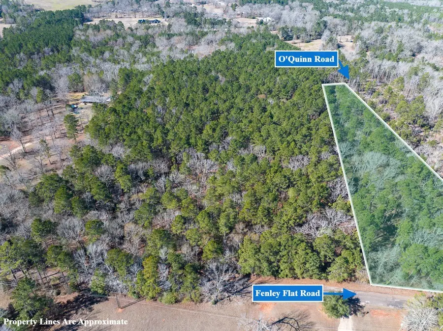 1 O'quinn Road, Pollok, TX 75969 - #2