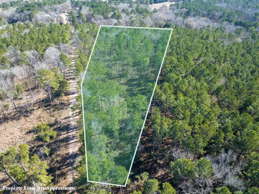 1 O'quinn Road, Pollok, TX 75969 - #3