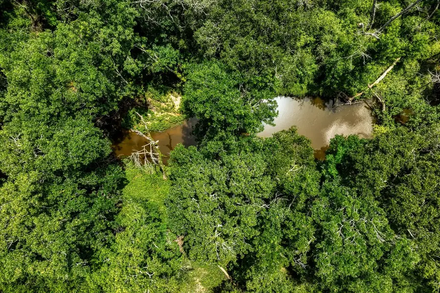 1865 County Road 114, Garwood, TX 77442 - #3