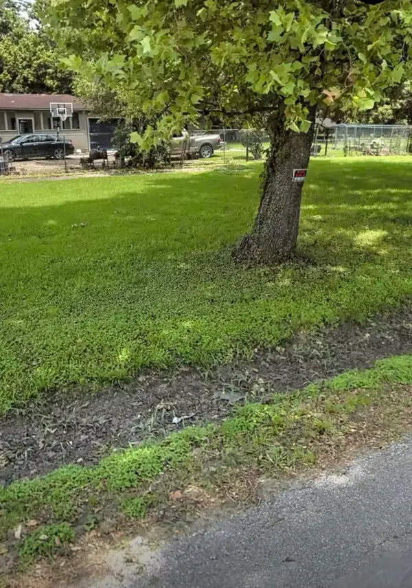 6813 Bonita Street, Houston, TX 77016