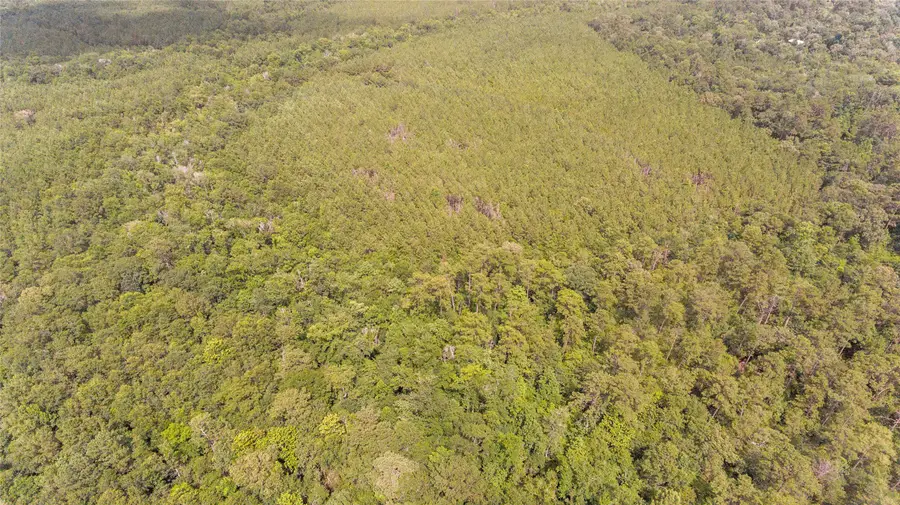 TBD Old Beaumont Highway, Silsbee, TX 77656 - Image #2