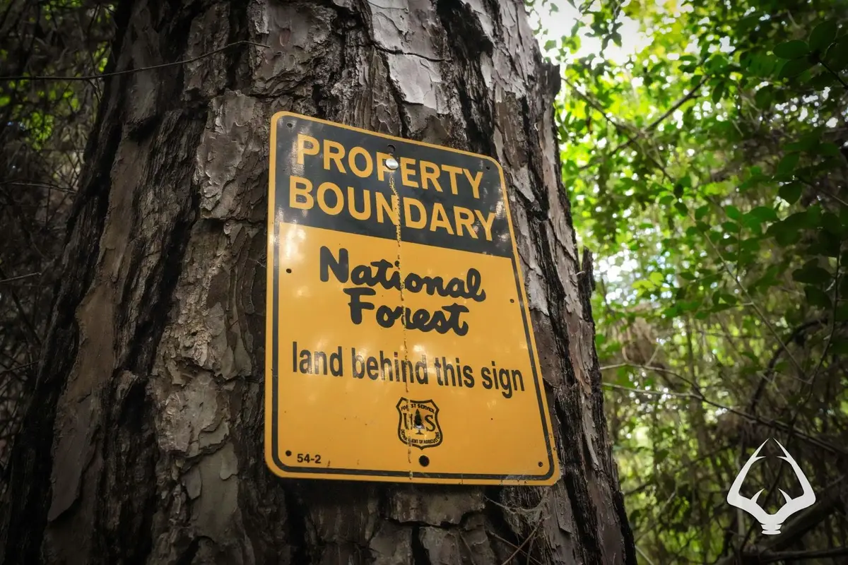 TBD County Road 4690, Kennard, TX 75847 - Image #1