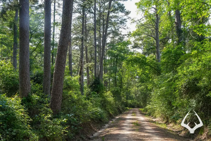 TBD County Road 4690, Kennard, TX 75847 - Image #3