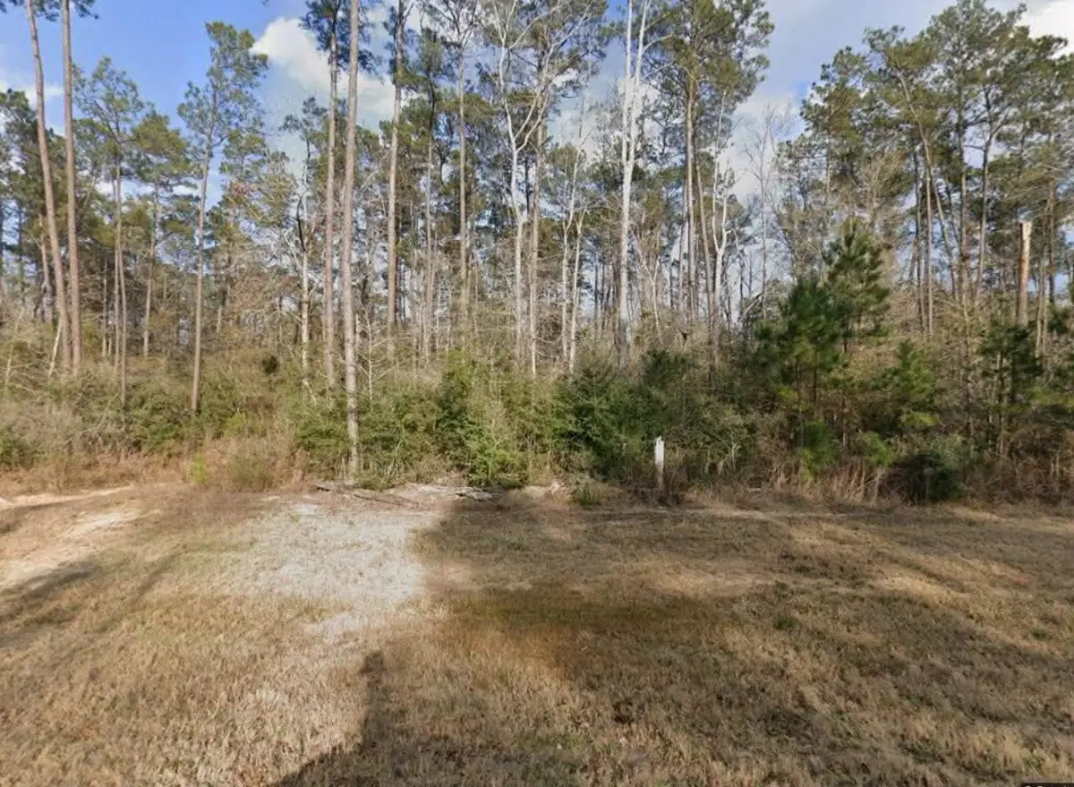 10721 Ruger Road, Willis, TX 77378 - #1