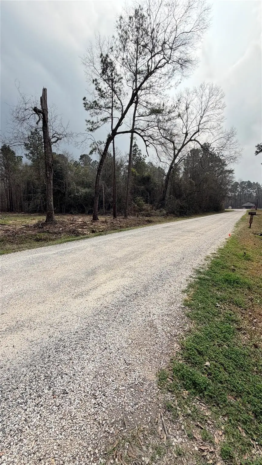 0 Dogwood Trail, Shepherd, TX 77371 - #2