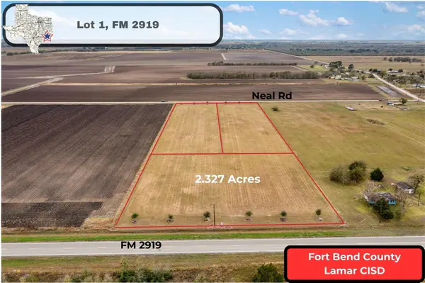 000 Fm 2919 Lot 1, Beasley, TX 77417
