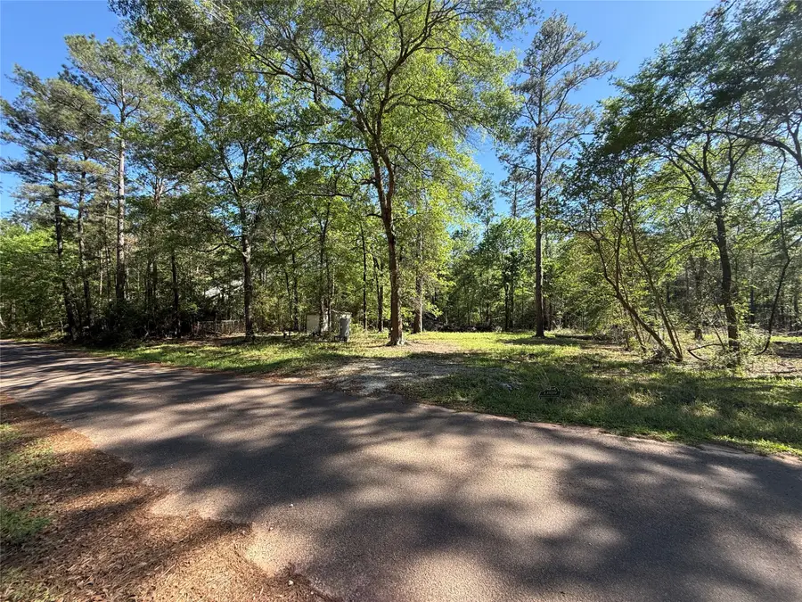 13959 County Road 201 Loop, Plantersville, TX 77363 - #2