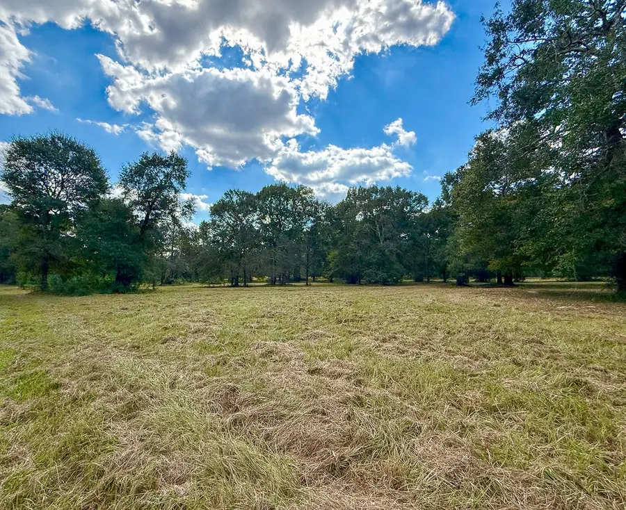 0 Mount Zion Road, New Waverly, TX 77358 - Image #3