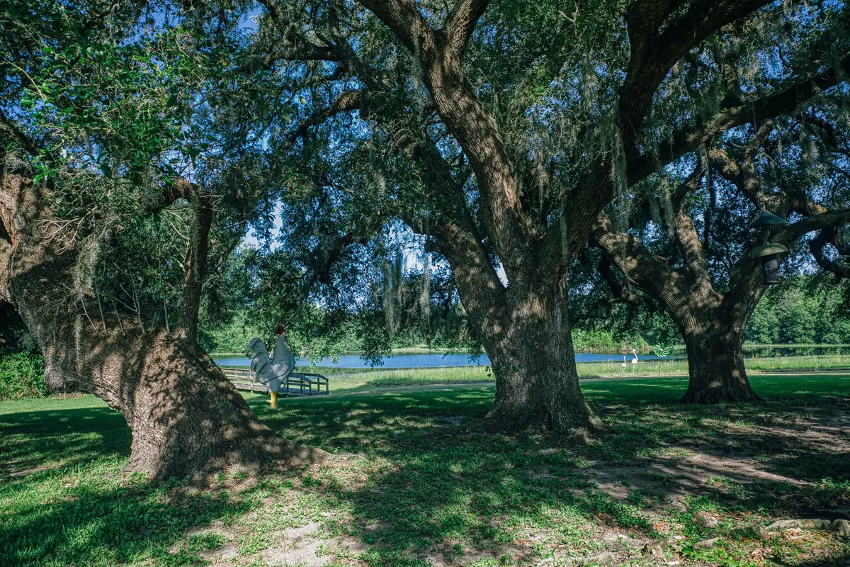 10671 Hidalgo Falls Rd, Washington, TX 77880 - #1