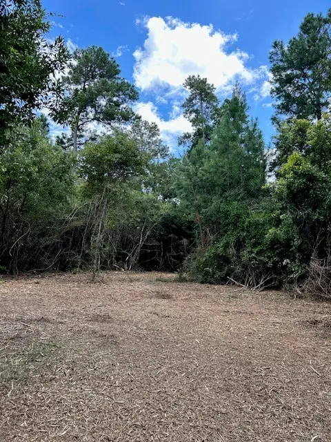 CR 307 Cr 307, Navasota, TX 77868 - Image #3