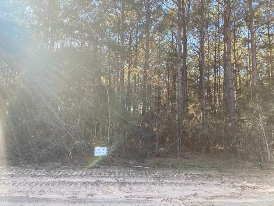 15697 Forest Grove Drive, Willis, TX 77378 - #3