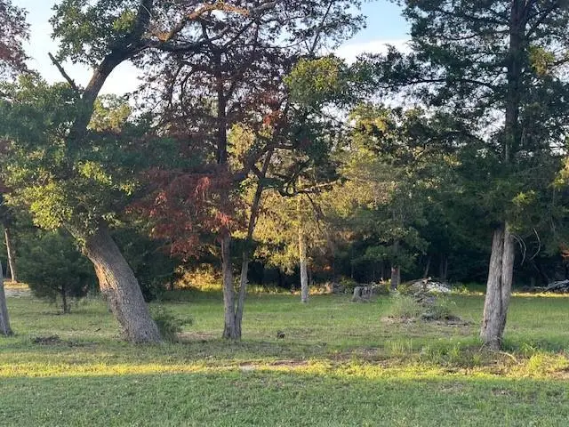 515 Berry Lane, Somerville, TX 77879 - Image #3