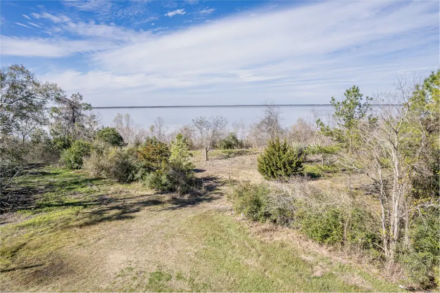 0 Fahring Street, Anahuac, TX 77514 - Image #3