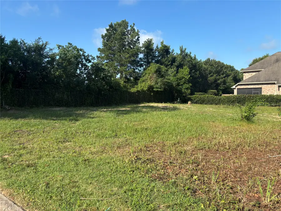 901 Longmire Rd, Conroe, TX 77304 - #2