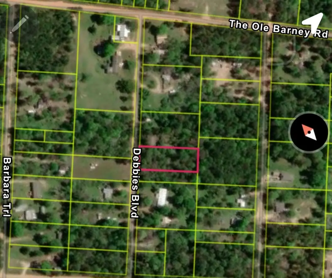 TBD Debbie Boulevard, Livingston, TX 77351 - Image #1