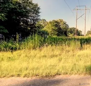 0 Saddle Rock Lane, New Caney, TX 77357 - Image #2