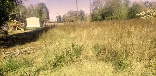 0 Saddle Rock Lane, New Caney, TX 77357 - Image #3