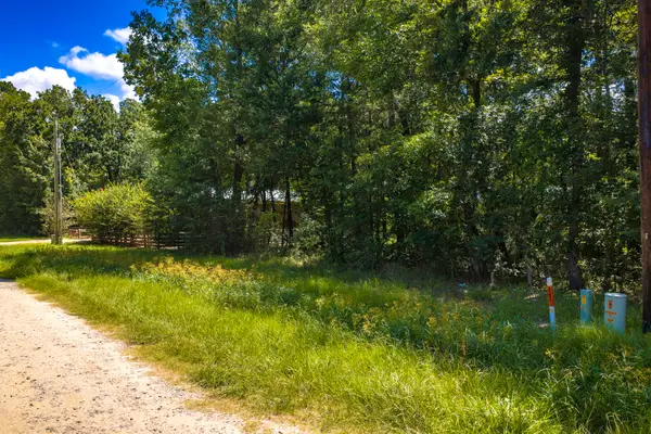 TBD Lots 21 & 22 Terlingua, Livingston, TX 77351