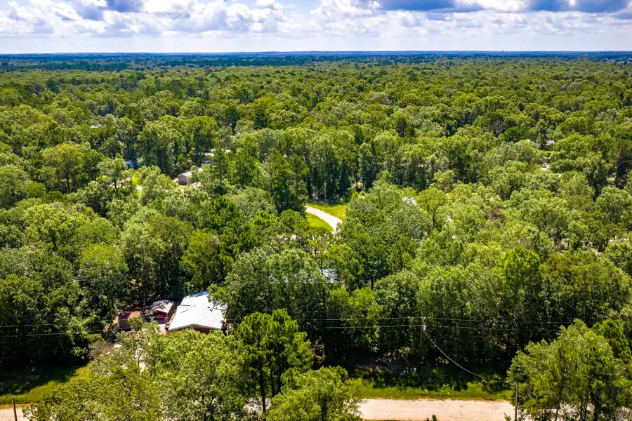 TBD Lots 21 & 22 Terlingua, Livingston, TX 77351 - #3