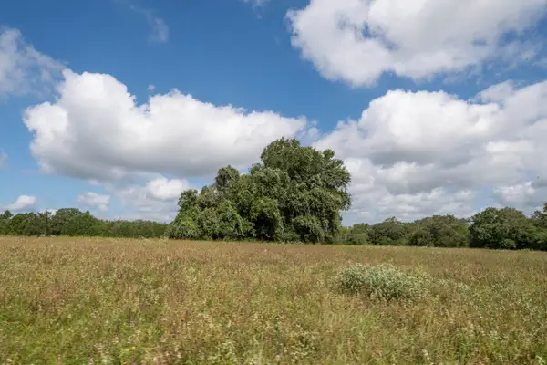 0 County Road 328, Caldwell, TX 77836