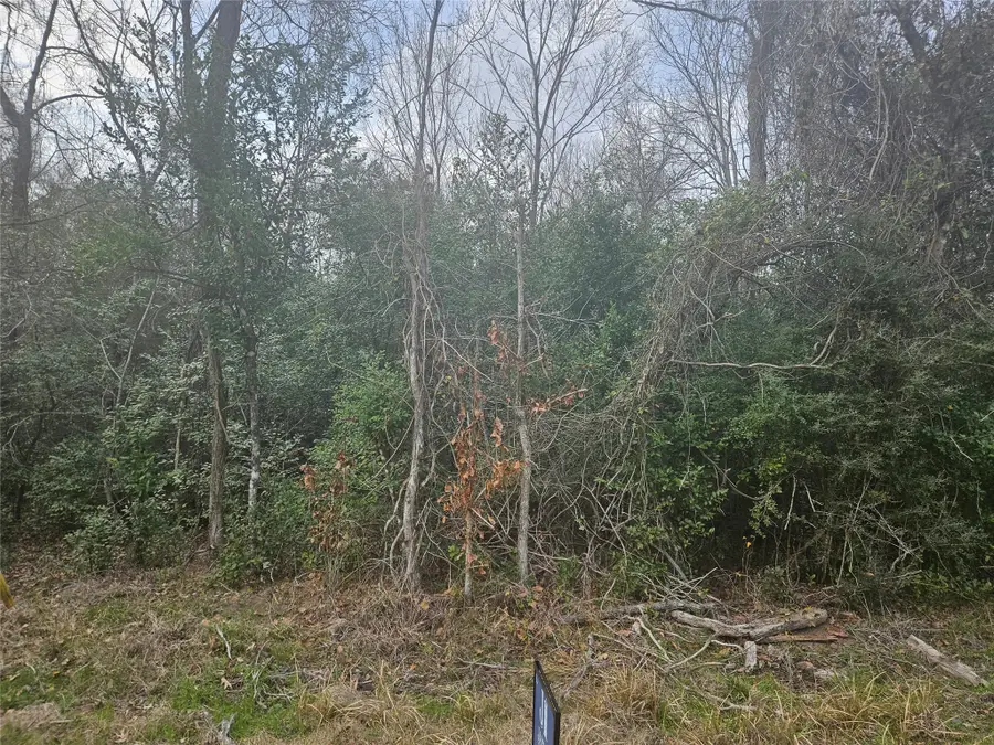 0 Winding Creek Drive, Shepherd, TX 77371 - #2