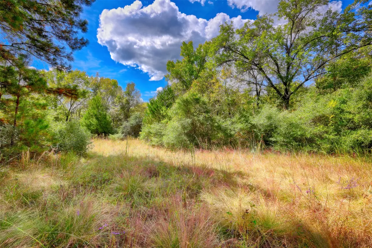 TBD Windy Oaks, Huntsville, TX 77320 - #1