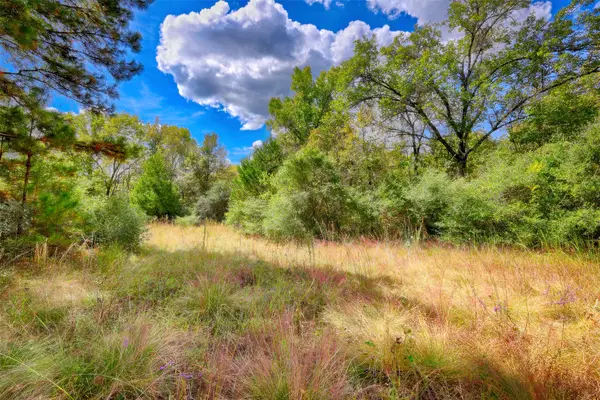 TBD Windy Oaks, Huntsville, TX 77320