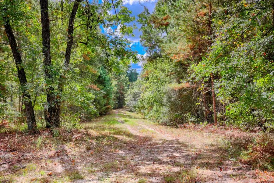 TBD Windy Oaks, Huntsville, TX 77320 - #2