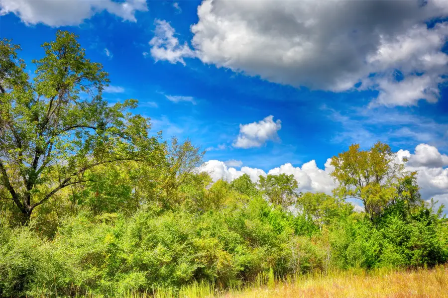 TBD Windy Oaks, Huntsville, TX 77320 - #3