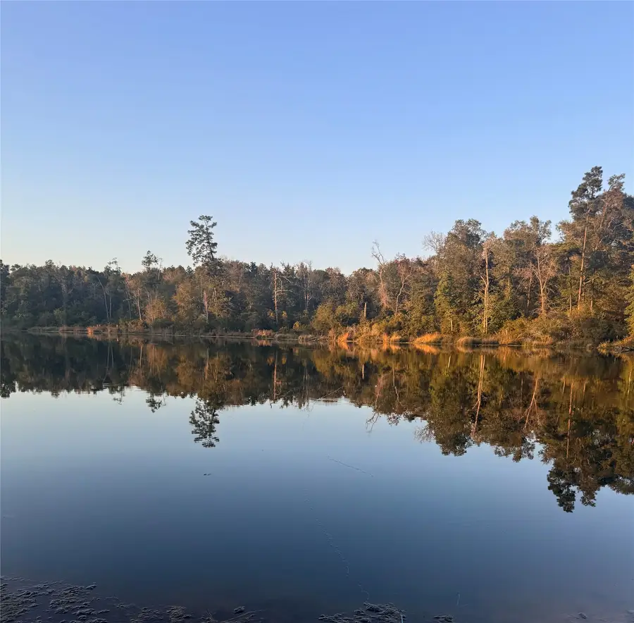 11755 Oakwood Ranch Drive, Willis, TX 77378 - #2