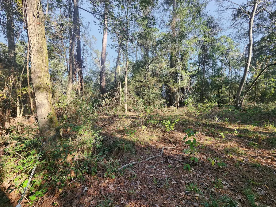 145 Dancing Flame, Livingston, TX 77351 - #3